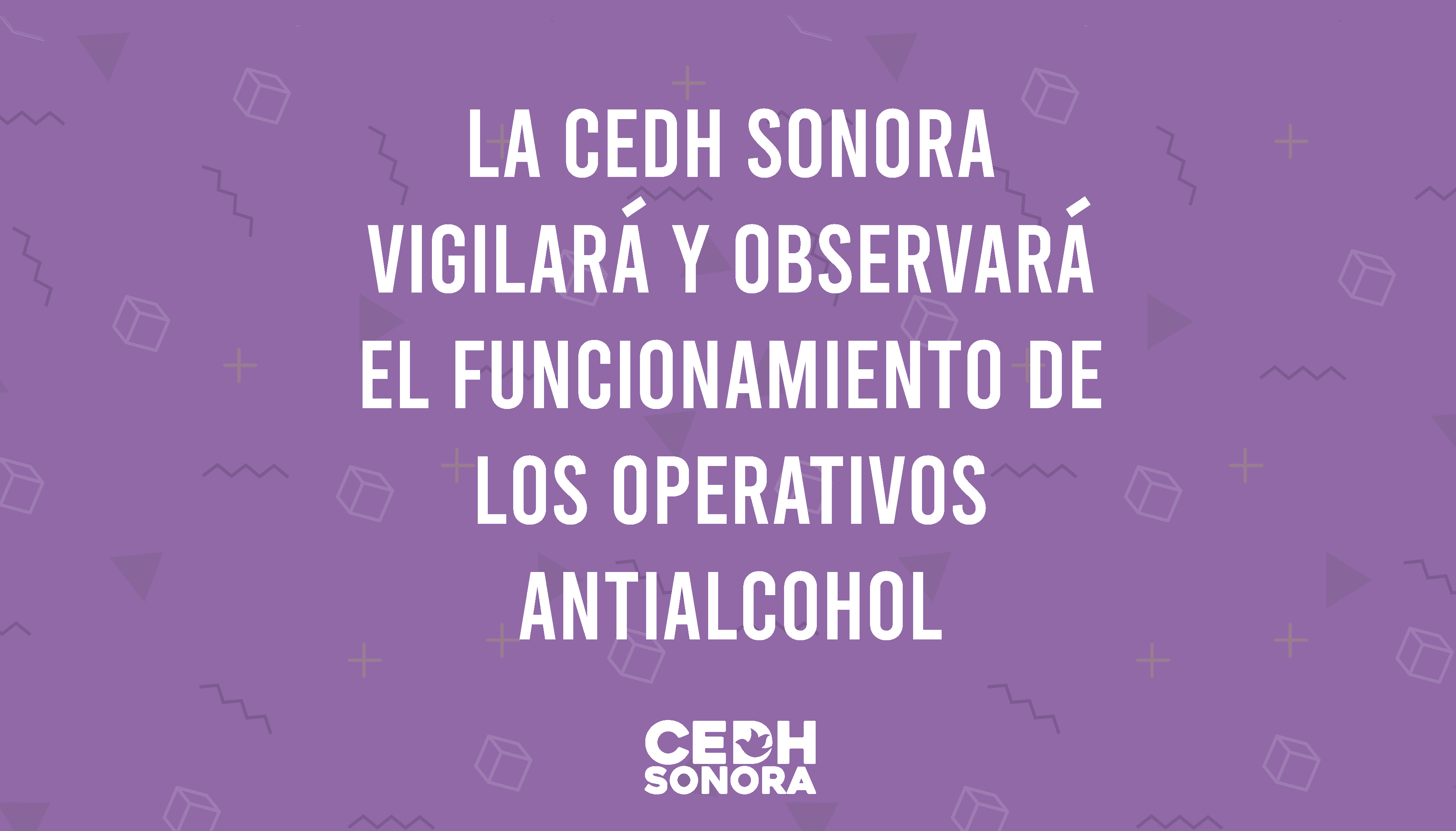 LA CEDH Sonora vigilará y observará el funcionamiento de los operativos antialcohol